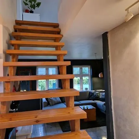 Close To Hesnaes Forest And