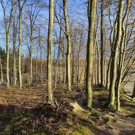 Villa Close To Hesnaes Forest And Horbelöv